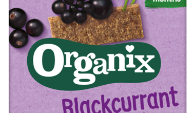 Μπάρες Βρώμης με Φραγκοστάφυλλο-Organix